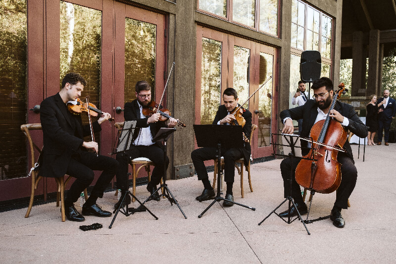 String Quartet Wedding